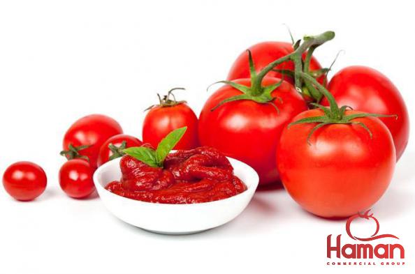 What Can You Use Tomato Concentrate For?