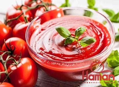 Buy jar tomato paste types + price