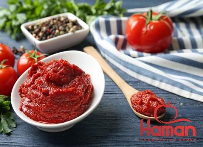 Buy pince tomato paste types + price