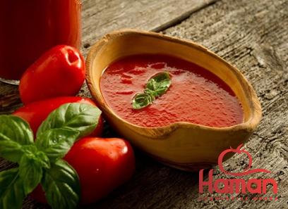 Buy main tomato paste types + price