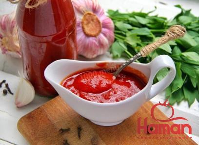 Buy bitter top tomato paste + best price