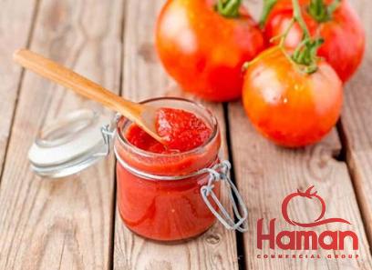 tomato paste goya 2023 price list